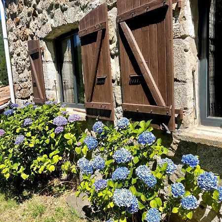 Gite Des Sausses Dans Une Nature Preservee Burzet Luaran gambar