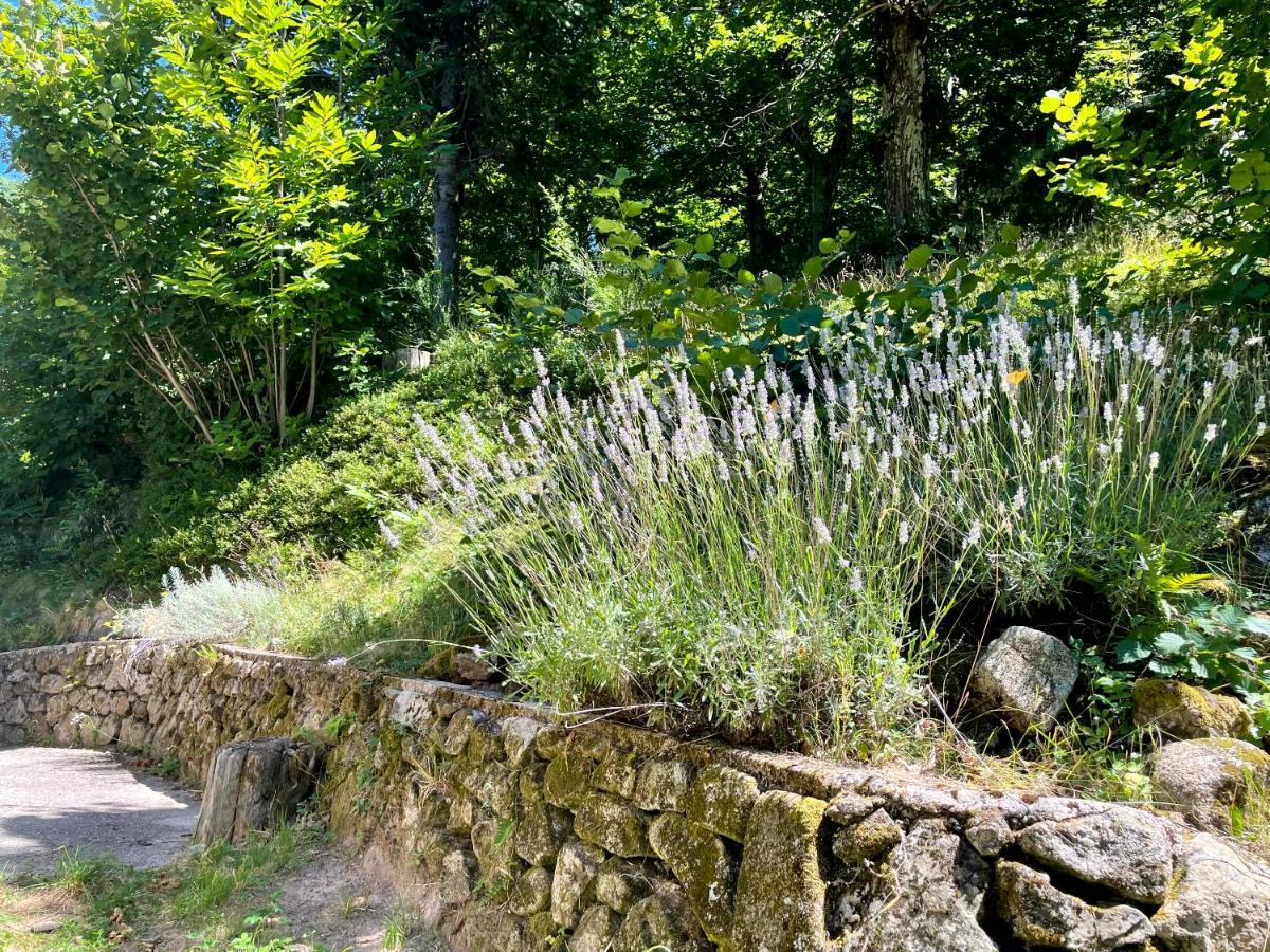 Gite Des Sausses Dans Une Nature Preservee Burzet Luaran gambar