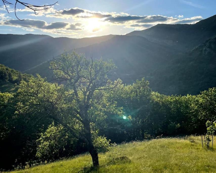 Gite Des Sausses Dans Une Nature Preservee Burzet Luaran gambar